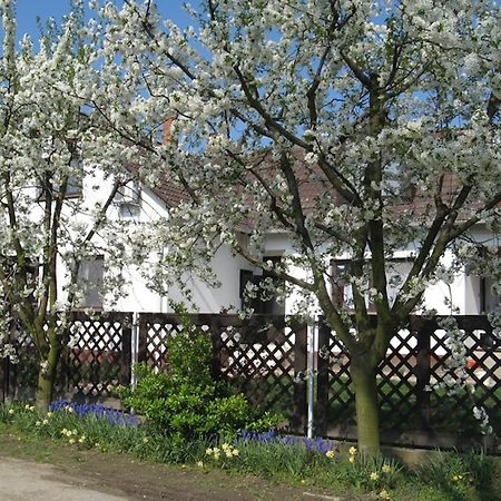 Apartament Nagy Vendeghazak Nagykoru Zewnętrze zdjęcie
