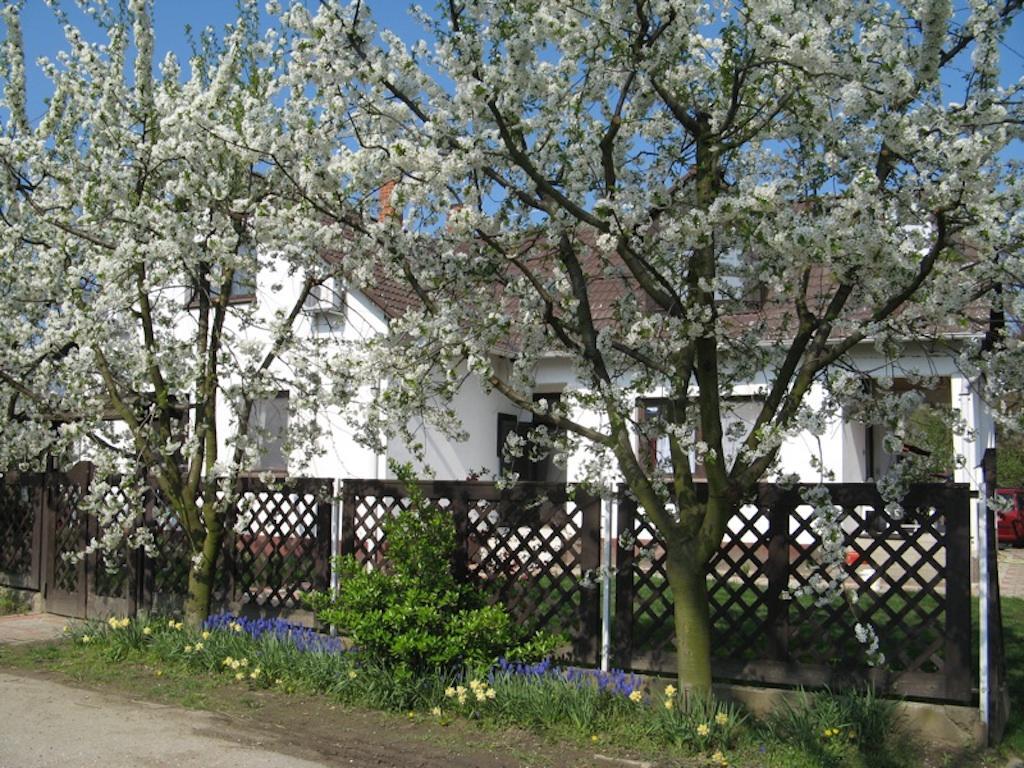 Apartament Nagy Vendeghazak Nagykoru Zewnętrze zdjęcie